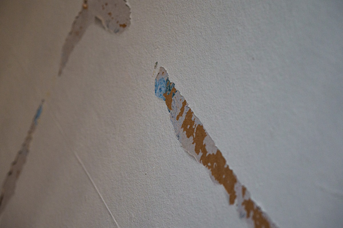 Mold Remediation service in Fishers, IN